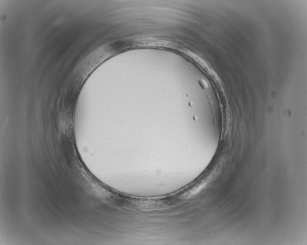 X0000080730897200701051056