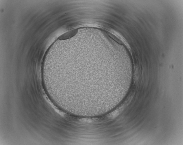 X0000080730898200701051056