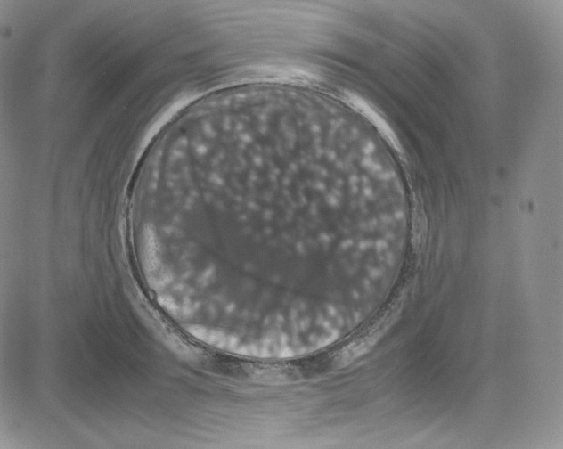 X0000080730899200701051056