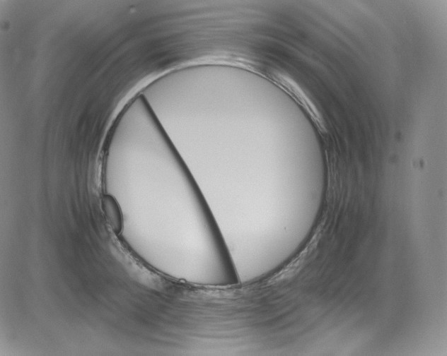 X0000080730900200701051056