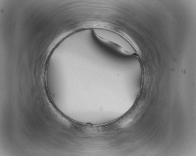 X0000080730901200701051056