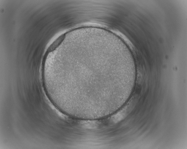 X0000080730902200701051056