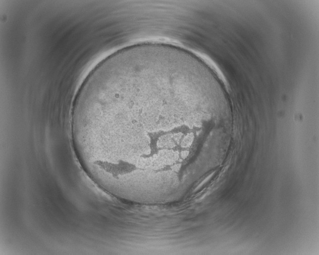 X0000080730903200701051056