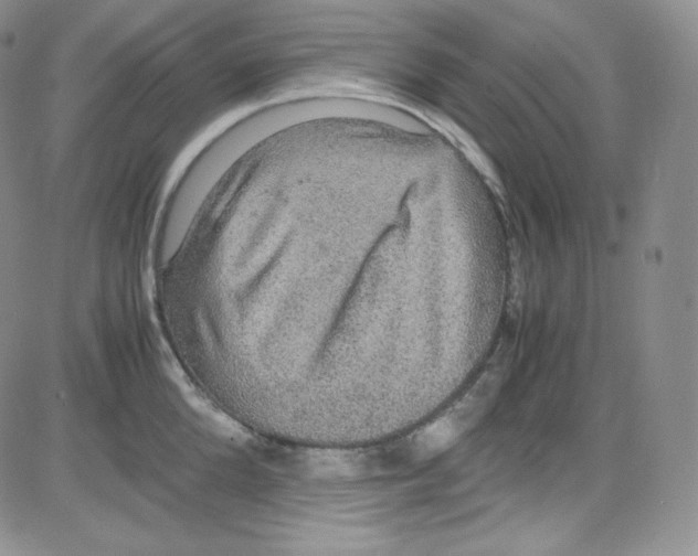 X0000080730904200701051056