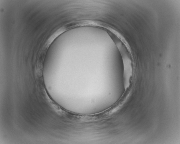 X0000080730905200701051056