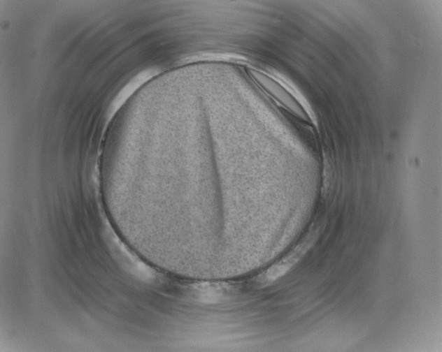 X0000080730906200701051056