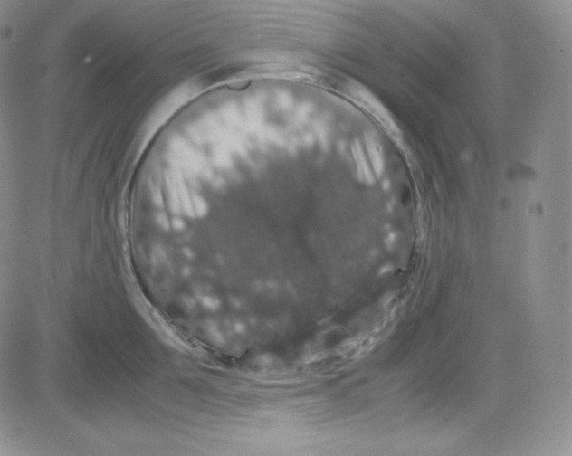 X0000080730907200701051056