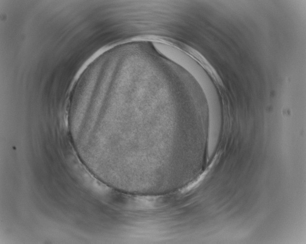 X0000080730908200701051056