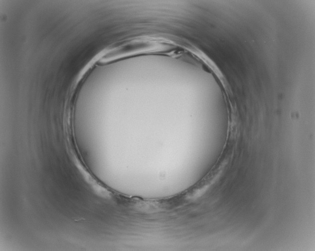 X0000080730909200701051056