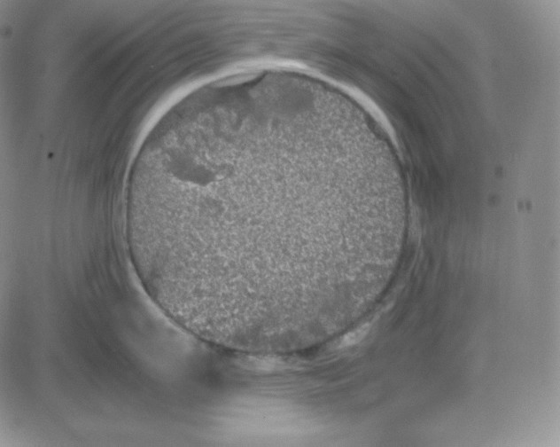 X0000080730911200701051056