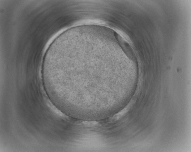 X0000080730912200701051056