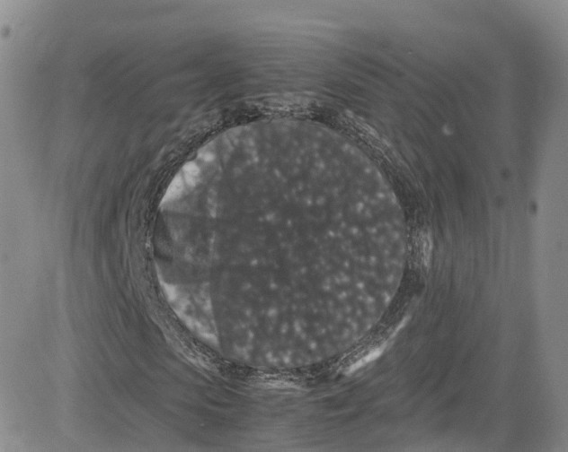 X0000080730913200701051055