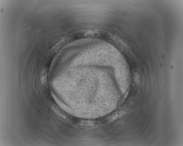 X0000080730914200701051055