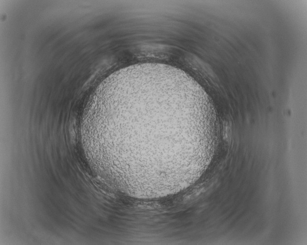 X0000080730915200701051055