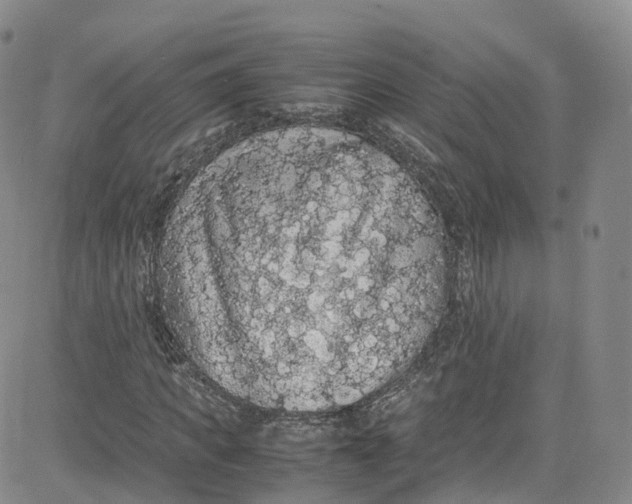 X0000080730917200701051055