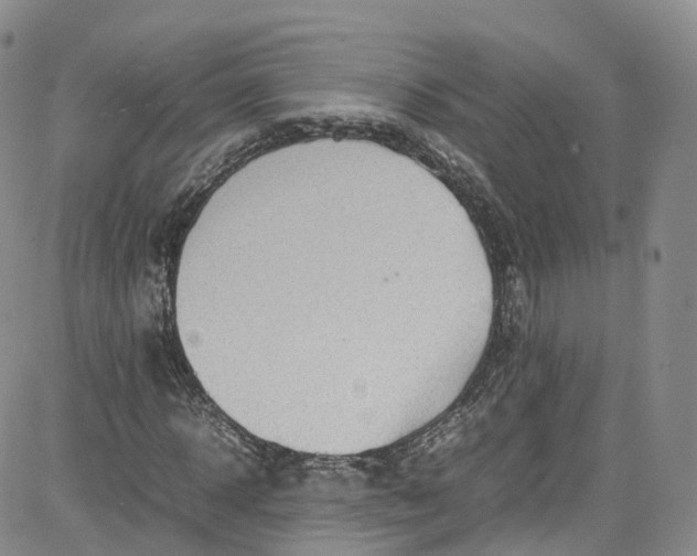 X0000080730918200701051055