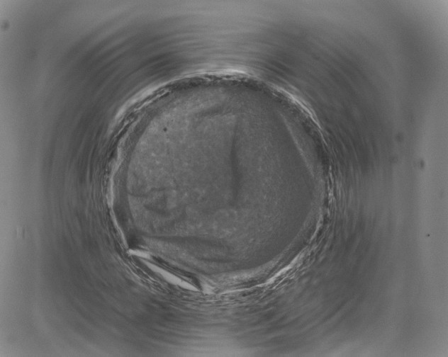 X0000080730920200701051055