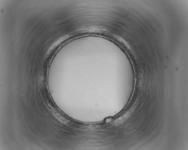 X0000080730922200701051055