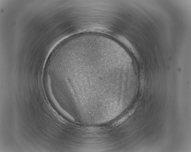 X0000080730924200701051055