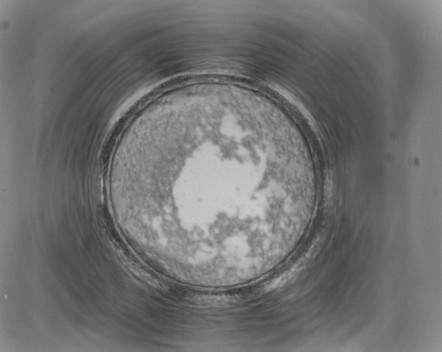 X0000080730925200701051055