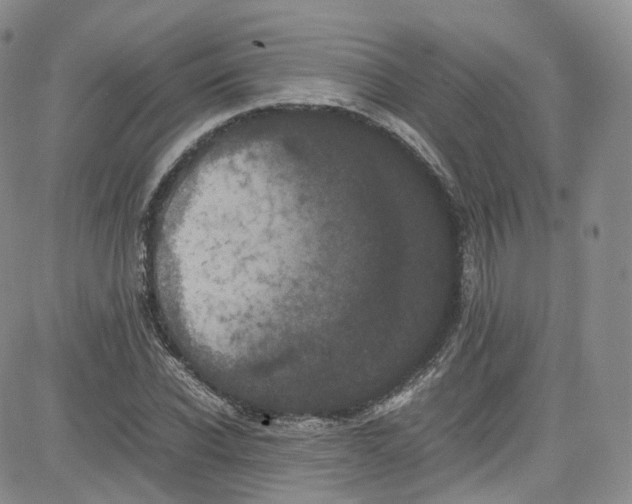 X0000080730926200701051055