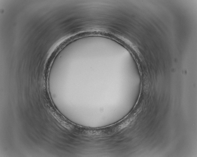 X0000080730927200701051055