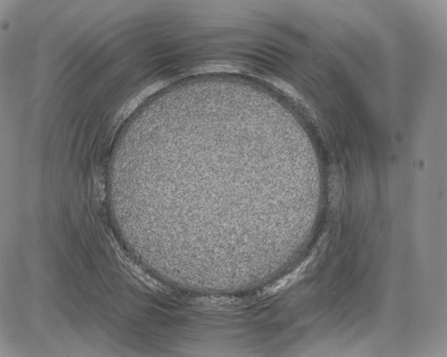 X0000080730929200701051055