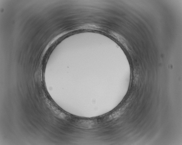 X0000080730931200701051055