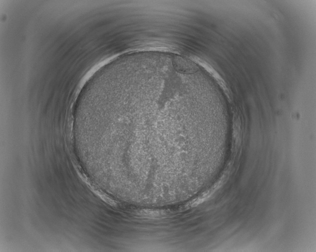 X0000080730933200701051055