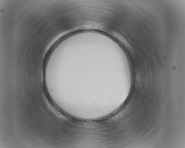 X0000080730934200701051055