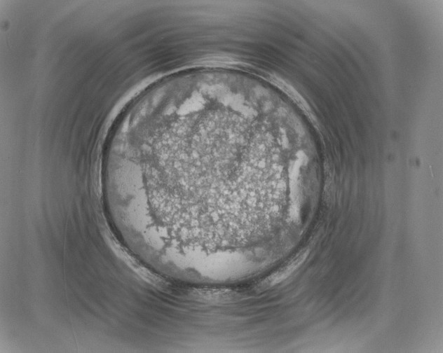 X0000080730939200701051055