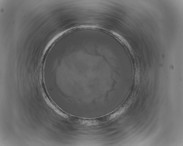 X0000080730941200701051055