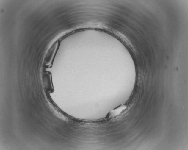 X0000080730942200701051055