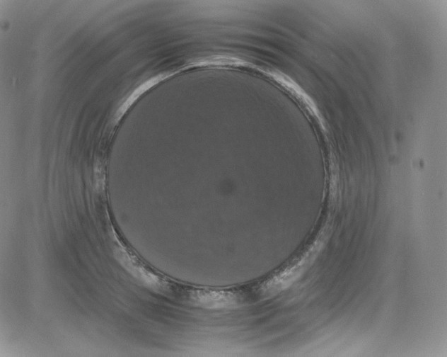 X0000080730945200701051056