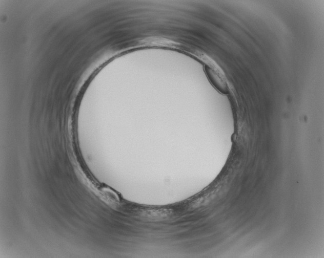 X0000080730947200701051056