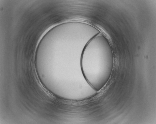 X0000080730948200701051056