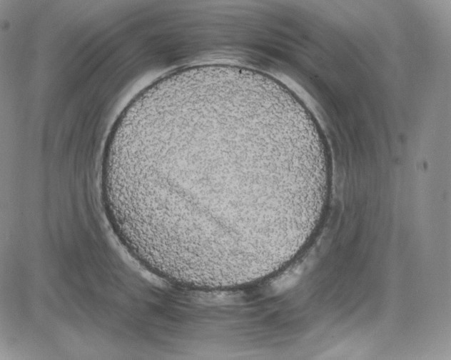 X0000080730949200701051056