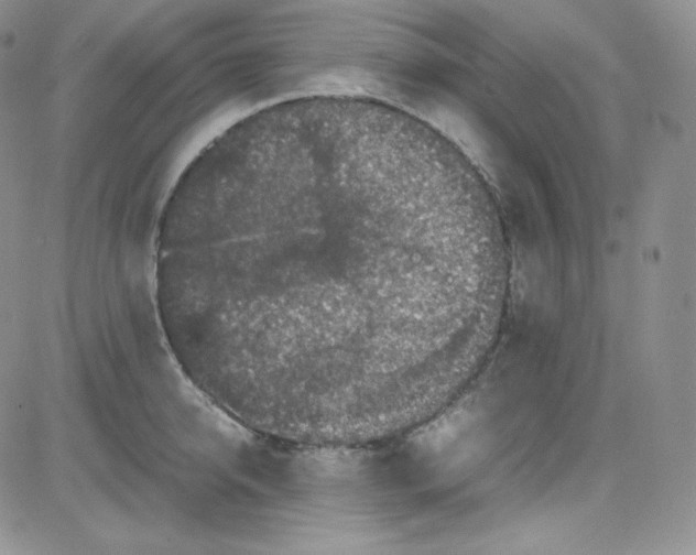 X0000080730950200701051056