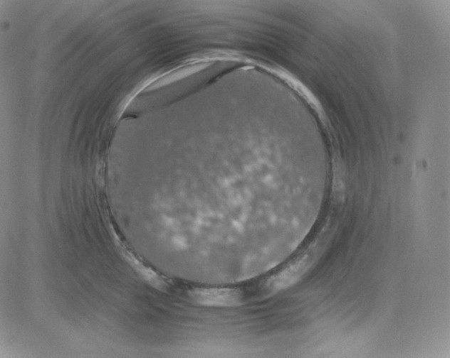 X0000080730953200701051056