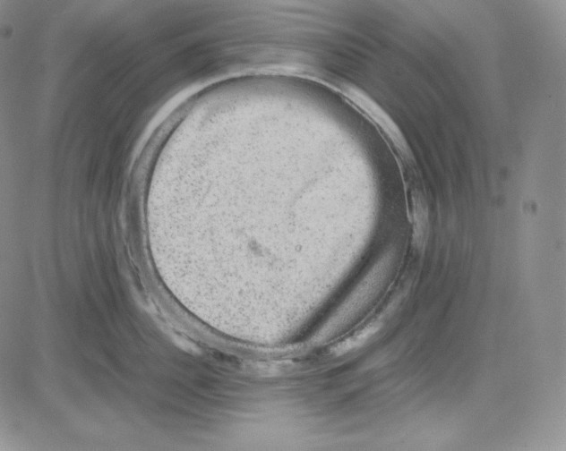 X0000080730956200701051056