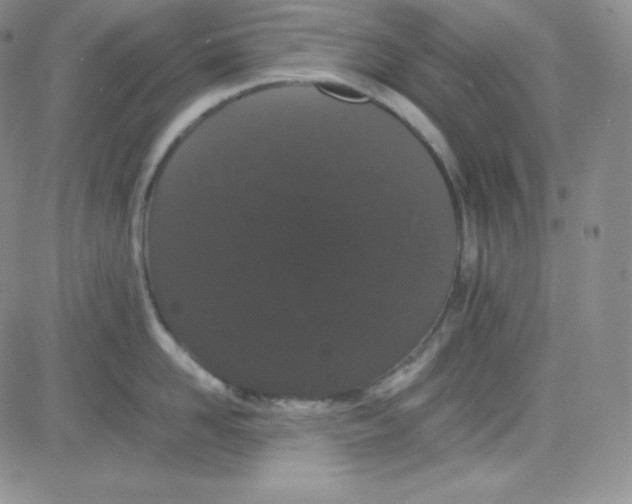 X0000080730958200701051056