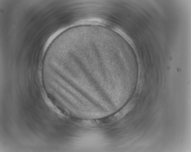 X0000080730960200701051056