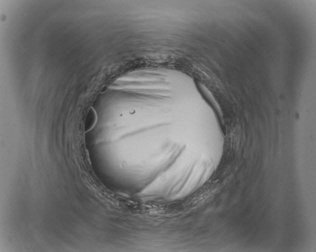 X0000080730961200701051055