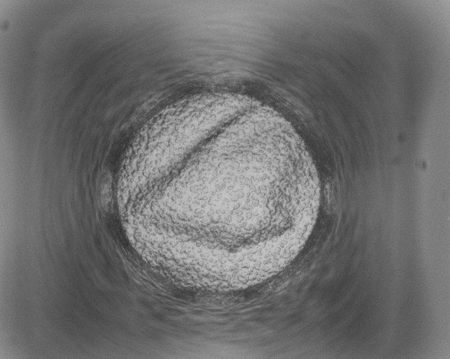 X0000080730963200701051055