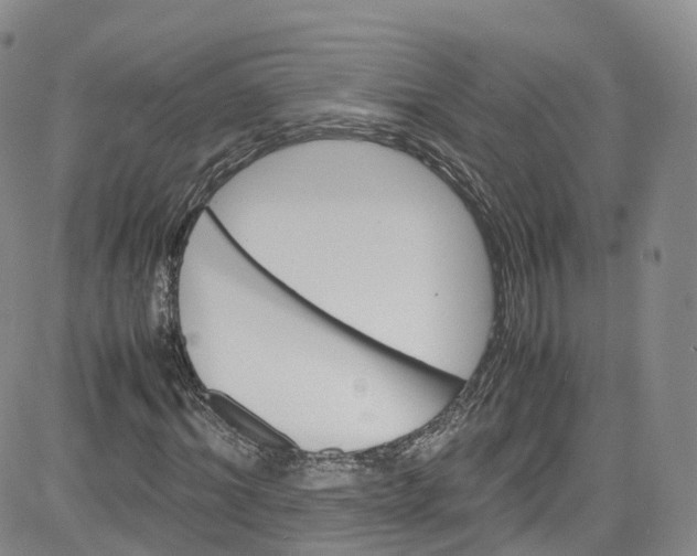 X0000080730964200701051055