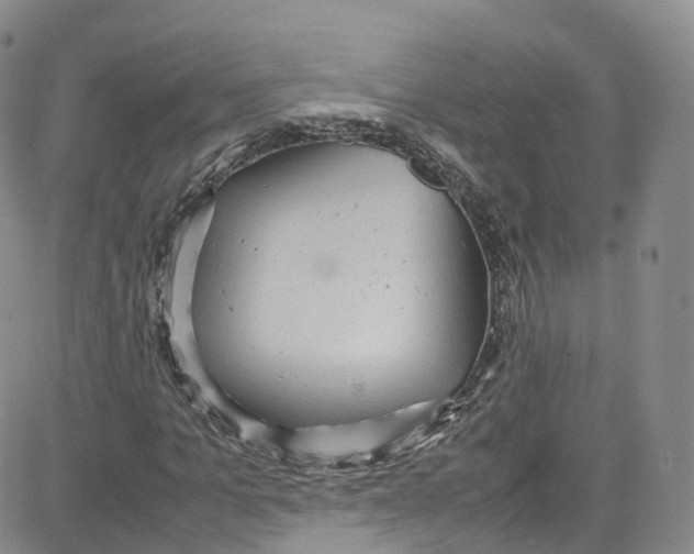 X0000080730965200701051055