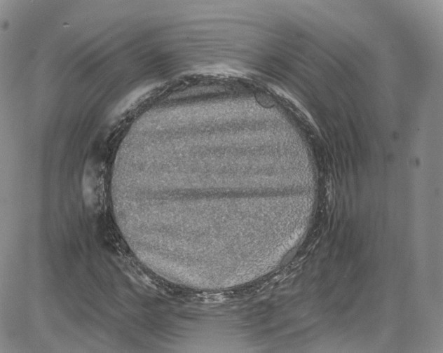 X0000080730968200701051055