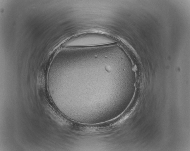 X0000080730969200701051055