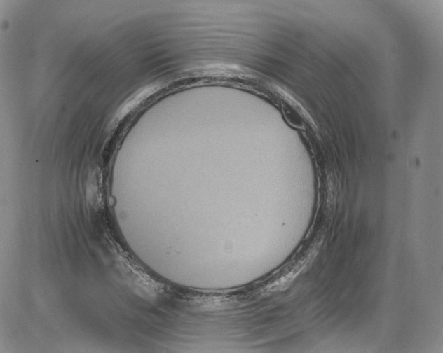 X0000080730970200701051055