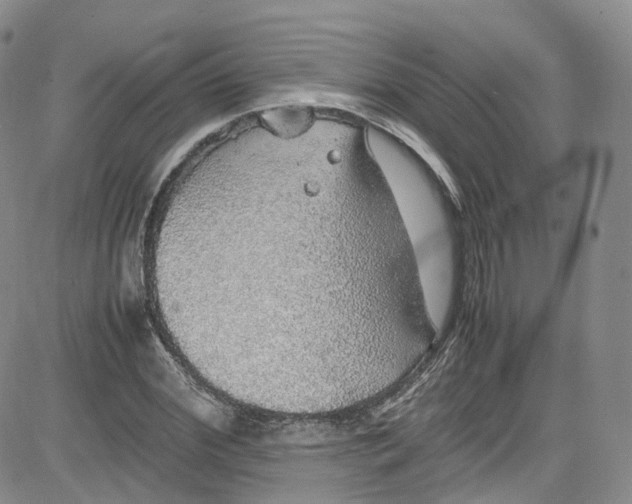 X0000080730972200701051055